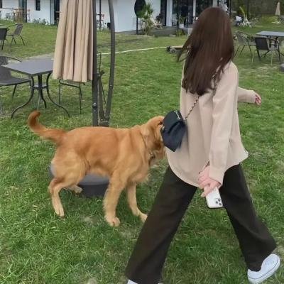 双面拉菲尔