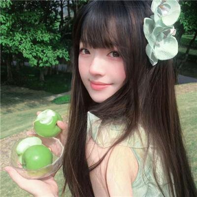 不死鸟之恋